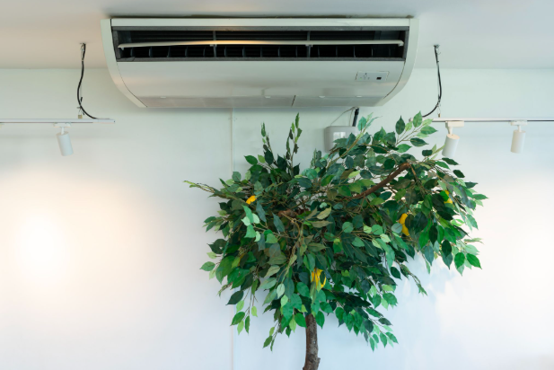 A plant underneath an AC unit in a pristine, clean indoor environment.